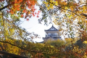 紅葉